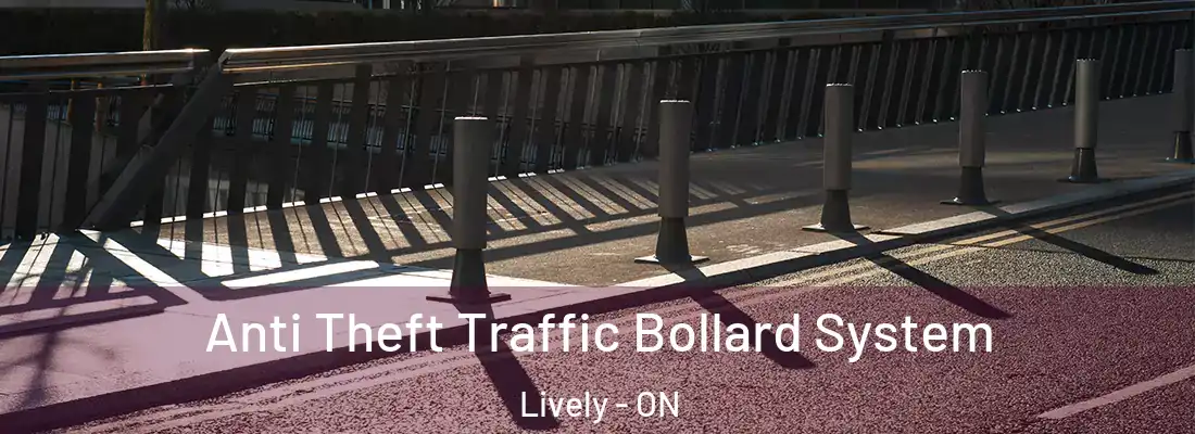  Anti Theft Traffic Bollard System Lively - ON