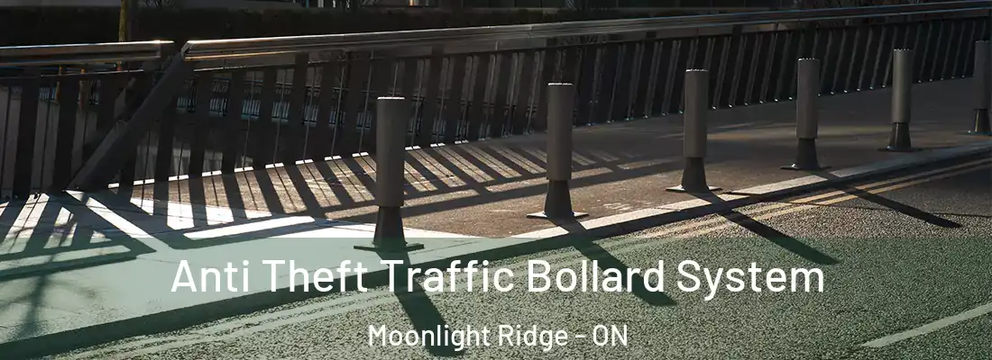  Anti Theft Traffic Bollard System Moonlight Ridge - ON