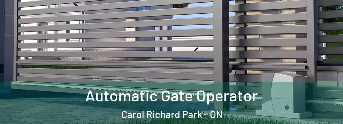  Automatic Gate Operator Carol Richard Park - ON