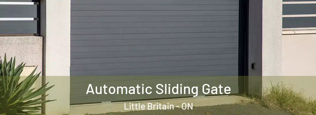  Automatic Sliding Gate Little Britain - ON