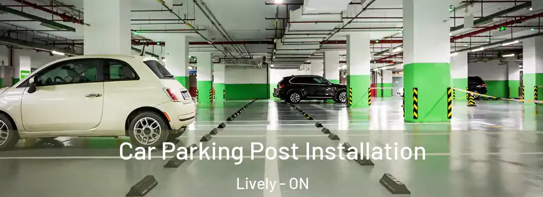  Car Parking Post Installation Lively - ON