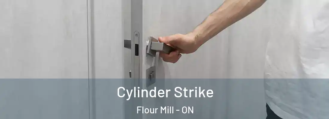  Cylinder Strike Flour Mill - ON