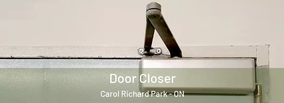  Door Closer Carol Richard Park - ON