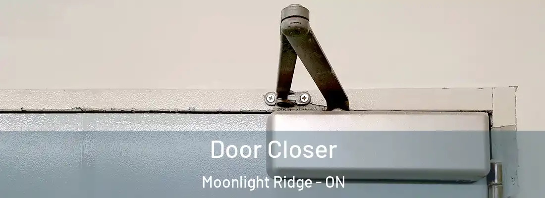  Door Closer Moonlight Ridge - ON