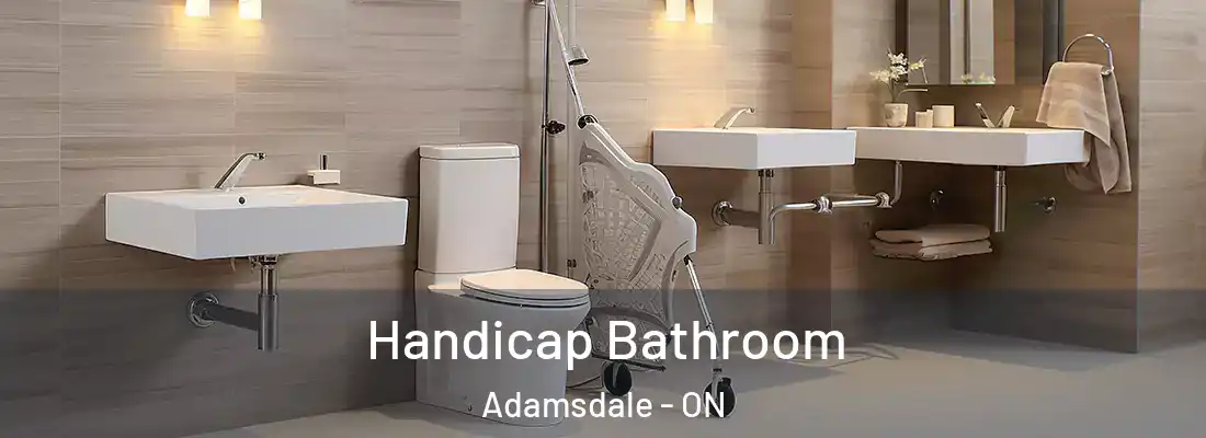  Handicap Bathroom Adamsdale - ON