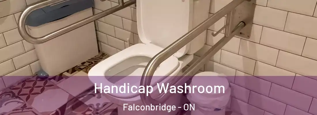  Handicap Washroom Falconbridge - ON