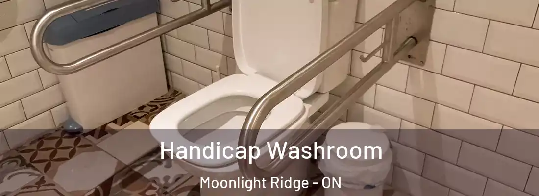  Handicap Washroom Moonlight Ridge - ON