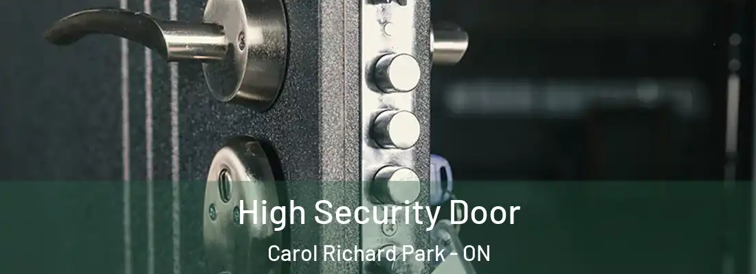  High Security Door Carol Richard Park - ON