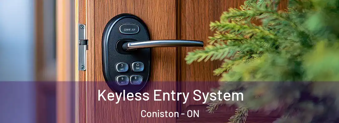  Keyless Entry System Coniston - ON
