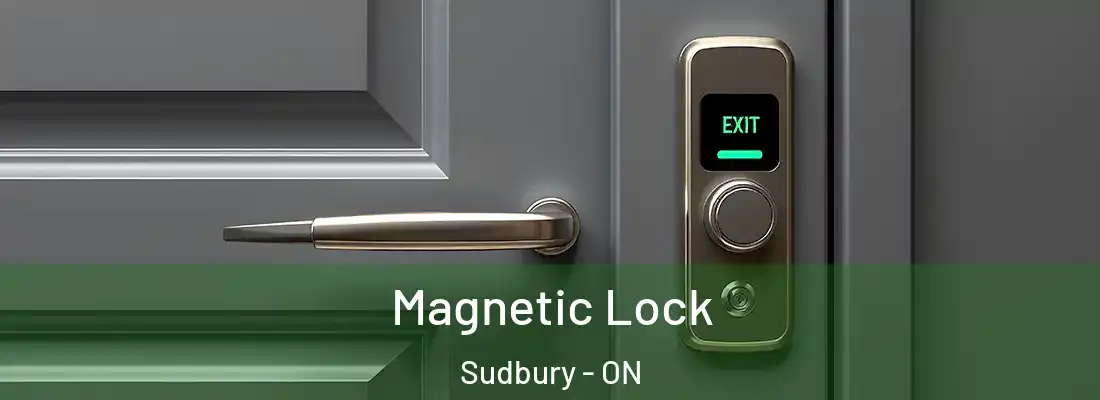  Magnetic Lock Sudbury - ON
