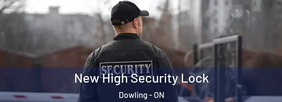 New High Security Lock Dowling - ON