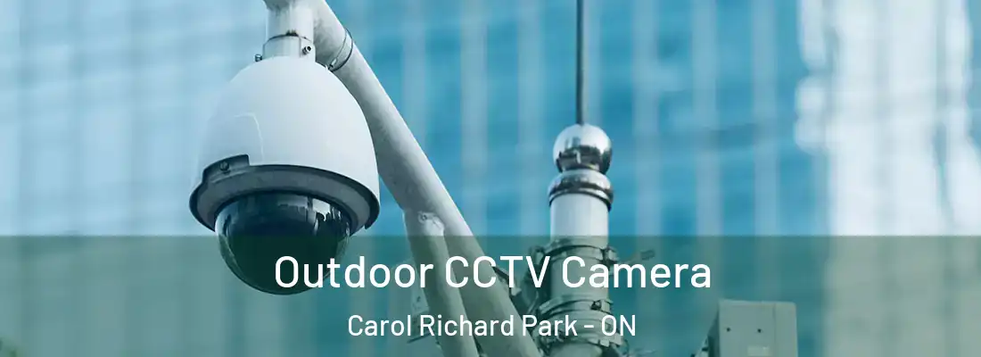  Outdoor CCTV Camera Carol Richard Park - ON