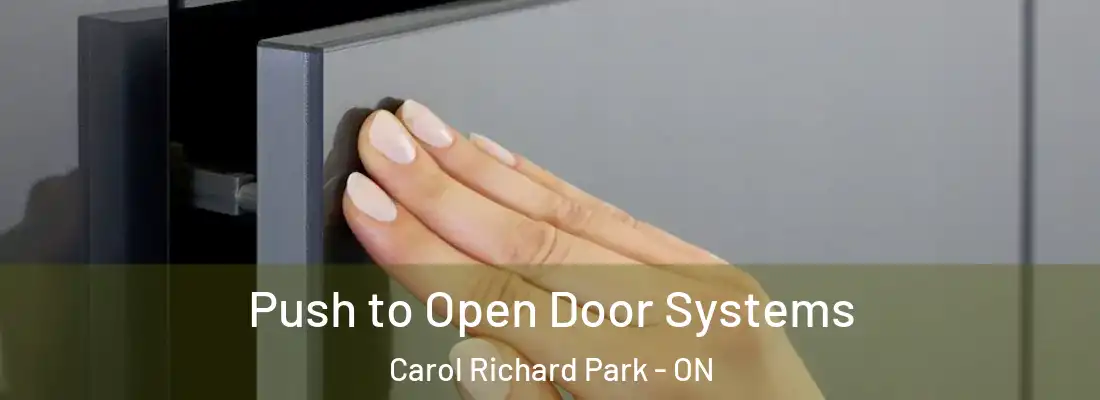  Push to Open Door Systems Carol Richard Park - ON