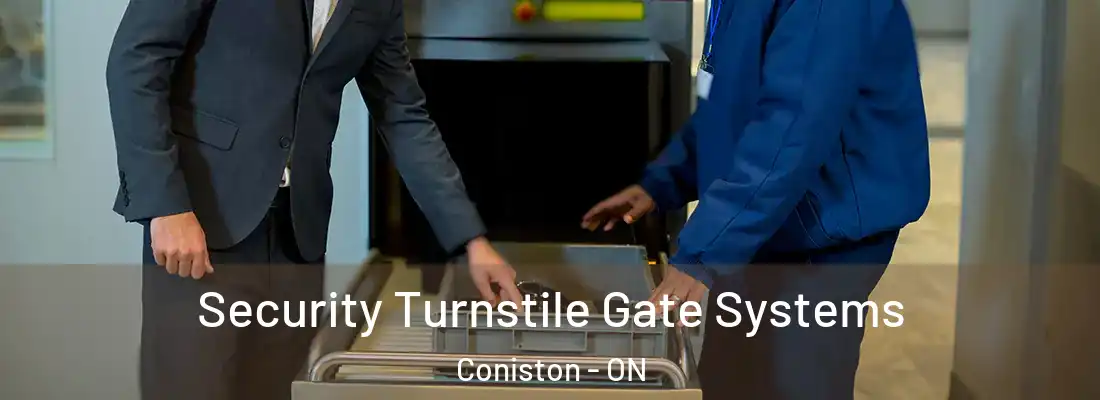  Security Turnstile Gate Systems Coniston - ON